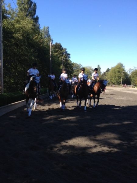 Horse demonstrations Southlands Fall Fair