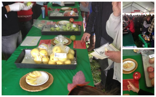 Festival de la pomme à l'UBC