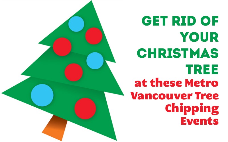 Tree Chipping In Metro Vancouver Family Fun Vancouver Tree Chipping in Metro Vancouver - Tree Chipping In Metro Vancouver Family Fun Vancouver