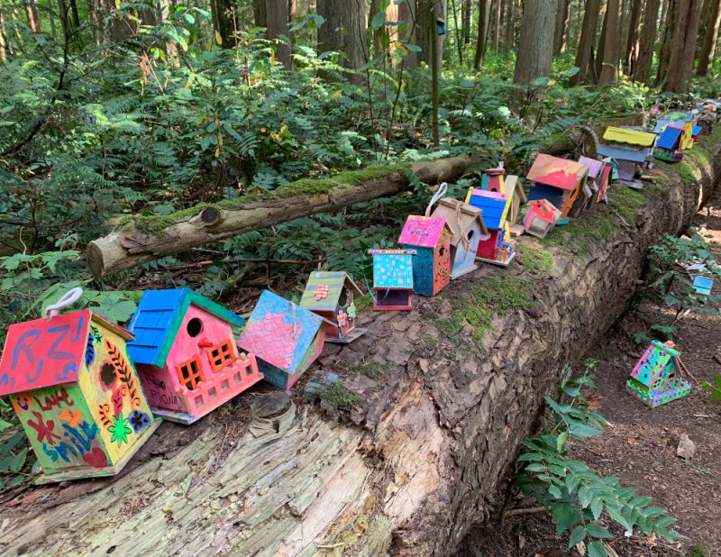 Fairy Kingdom at Redwood Park Family Fun Vancouver