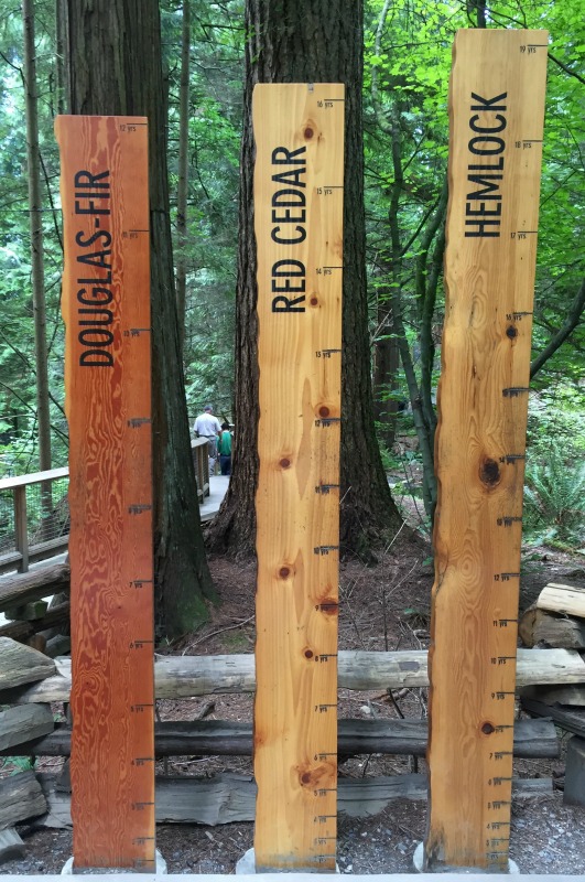 Ponte Suspensa Capilano