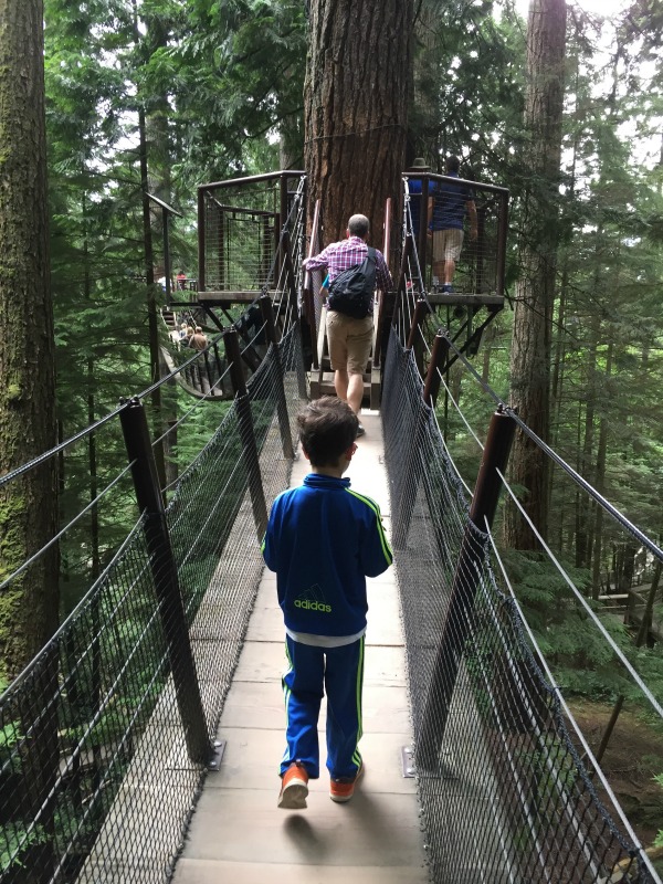 Baumkronen-Abenteuer an der Capilano-Hängebrücke