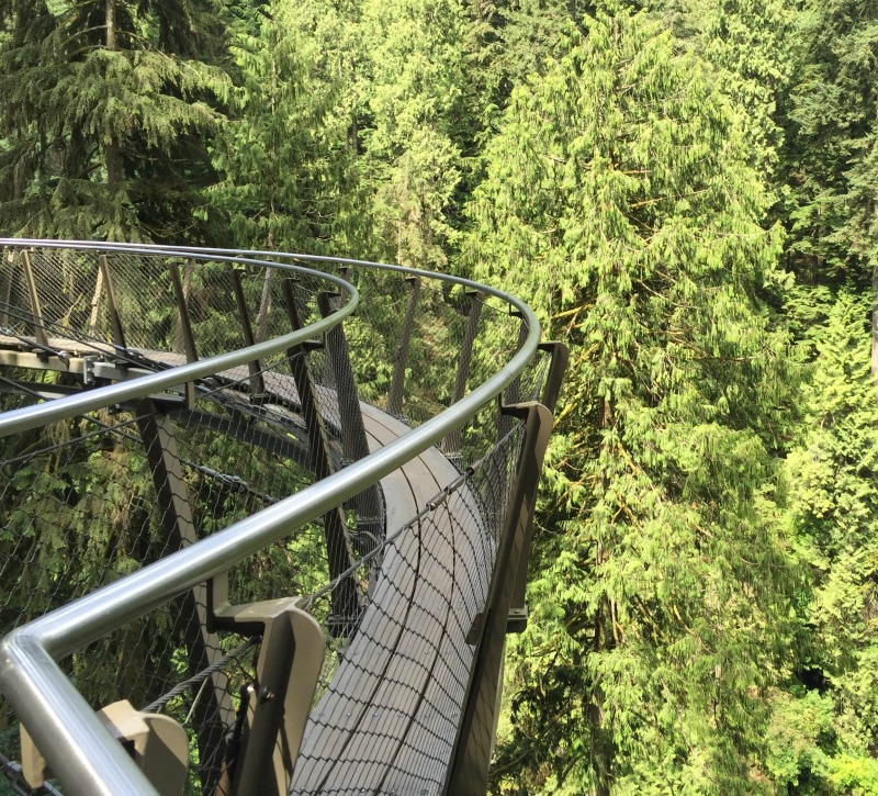 Acantilado en el puente colgante de Capilano