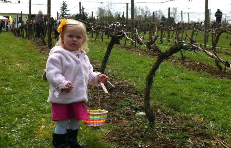 Easter Festival & Egg Hunt at Township 7 Winery