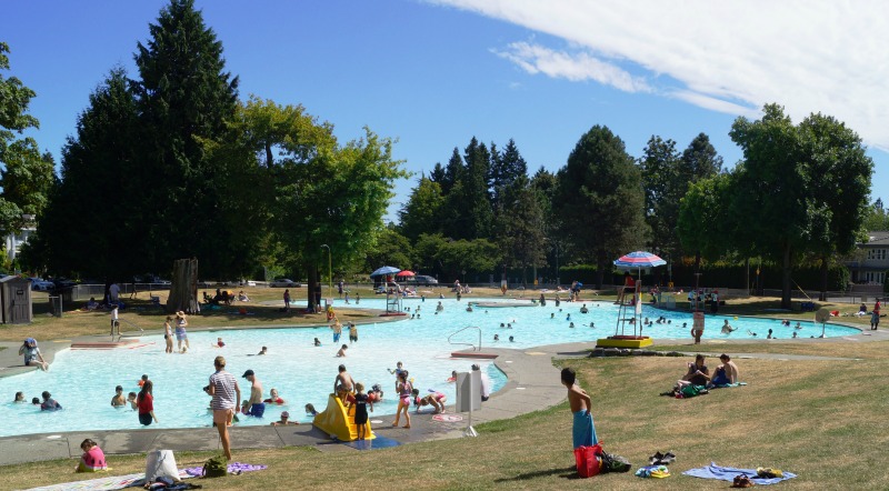 枫树林泳池和公园