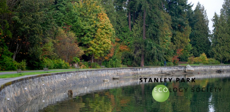 Stanley Park Ecology Society: 어린이를 위한 대화형 생태 수업(2022년 XNUMX월)