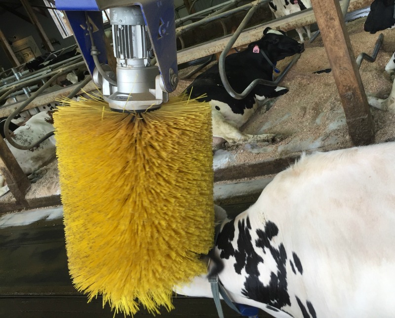 EcoDairy in Abbotsford
