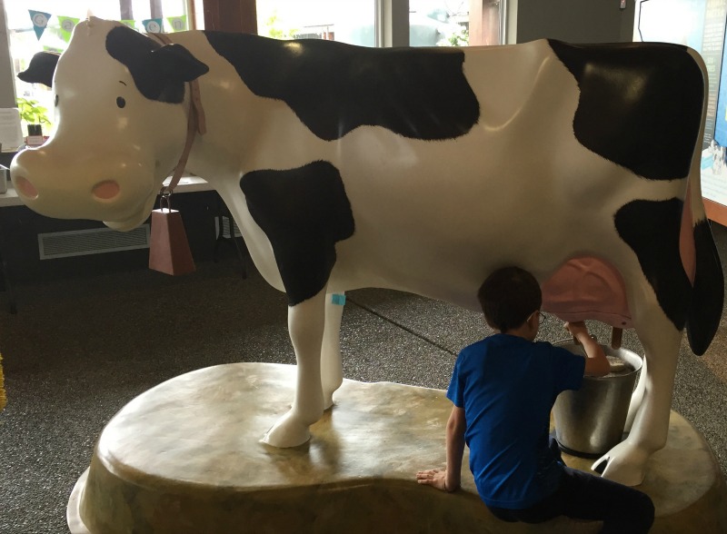 EcoDairy in Abbotsford
