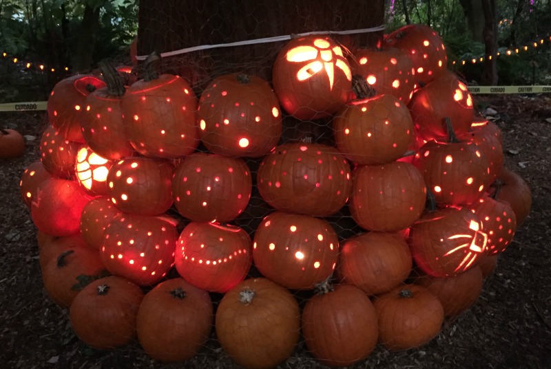 Glow in the Garden at VanDusen Botanical Garden