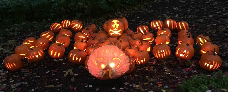 Glow In The Garden At Vandusen Family Fun Vancouver