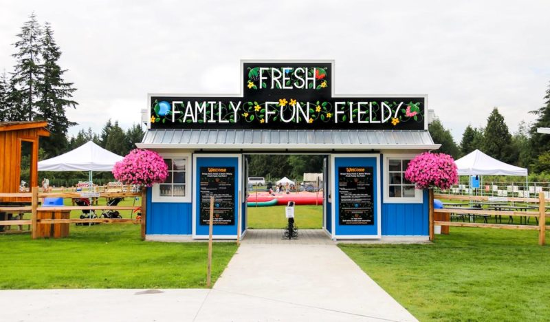 Fresh Family Fun Field at Krause Berry Farms
