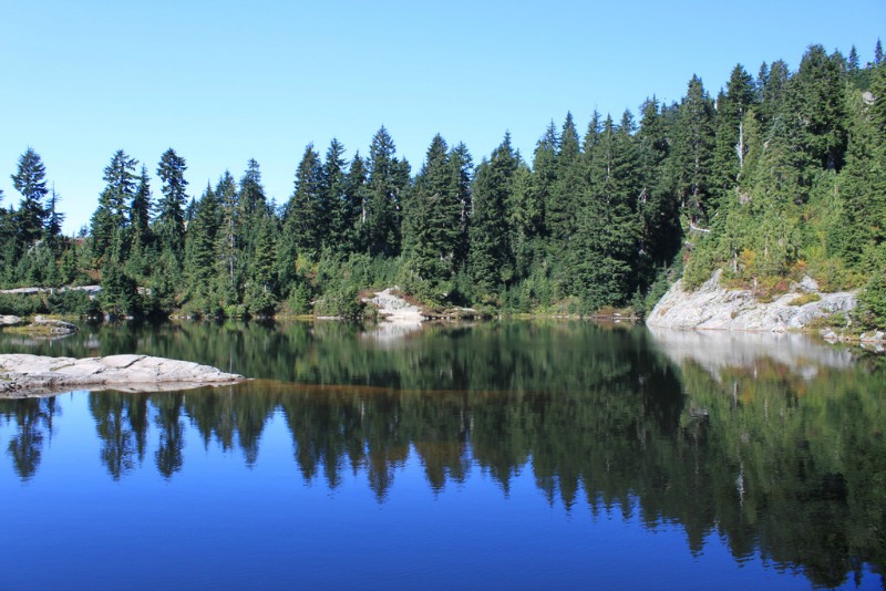 Mt Seymour Provincial Park의 미스터리 레이크 - 가족 친화적 하이킹