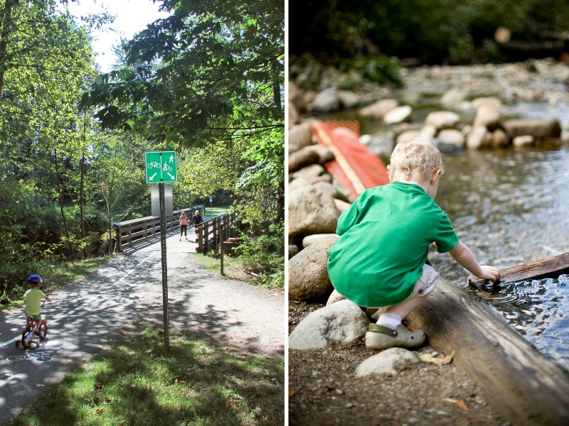 Shoreline Trail in Port Moody - Family-Friendly Hikes