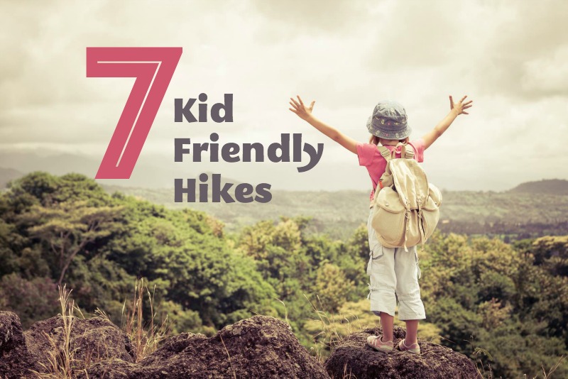 Kid Friendly Hikes