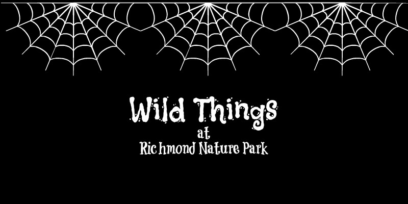 Coisas selvagens no Parque Natural de Richmond