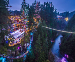Canyon Lights at Capilano Suspension Bridge