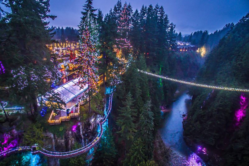 Canyon Lights at Capilano Suspension Bridge