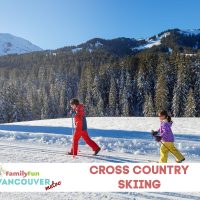 Ski de fond