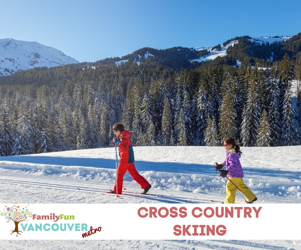 Cross Country Skiing