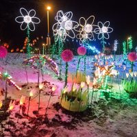 Lights at Lafarge