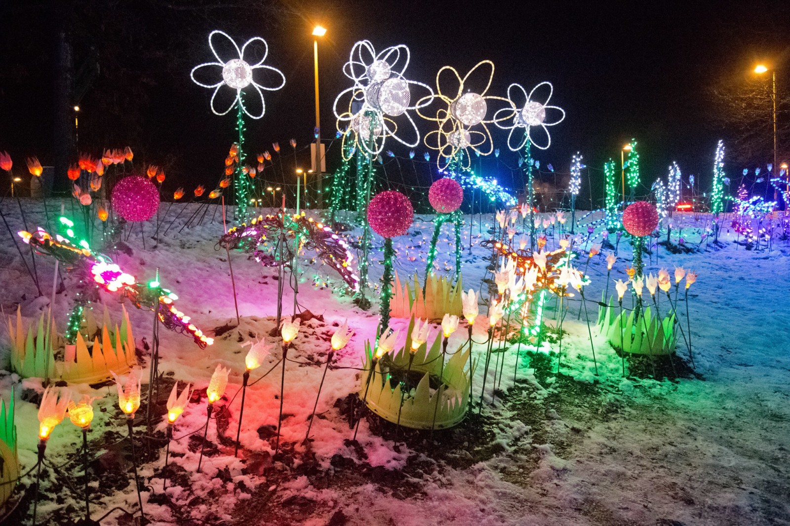 Lights at Lafarge Lake in Coquitlam Family Fun Vancouver