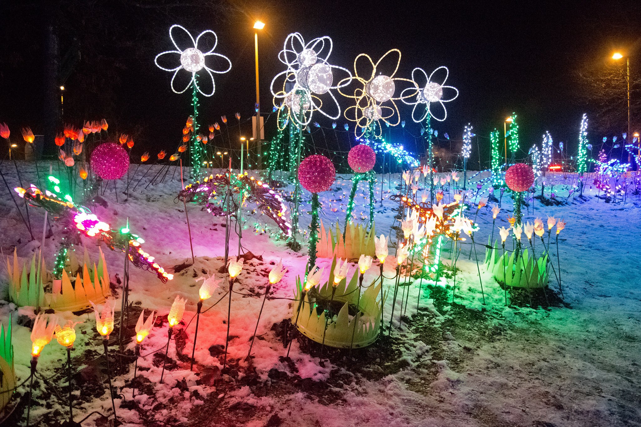 Lights at lafarge lake in coquitlam family fun vancouver