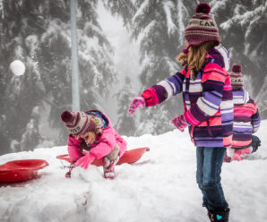 Mt Seymour Birthday Parties