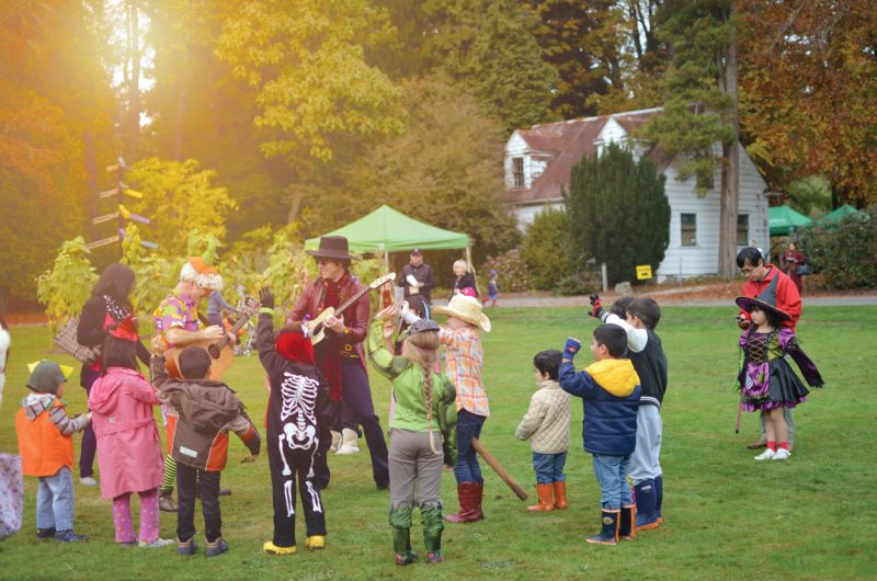 Halloween in the Forest