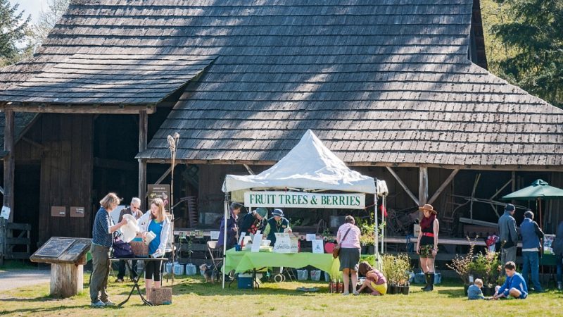 Historic Stewart Farm - Seedy Saturday