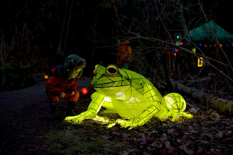 Night Quest at Pacific Spirit Regional Park Family Fun Vancouver