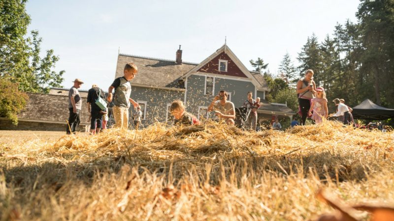 Olde Harvest Fair - 历史悠久的斯图尔特农场