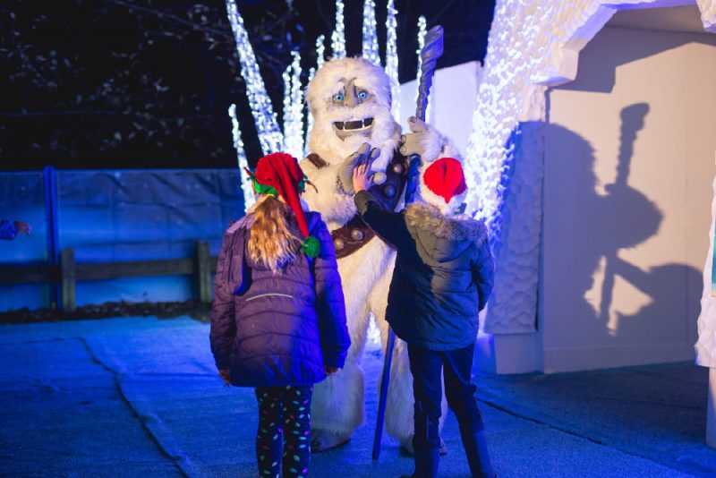 Festival d'hiver des aurores boréales