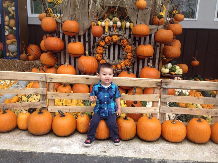 Port Kells Nursery