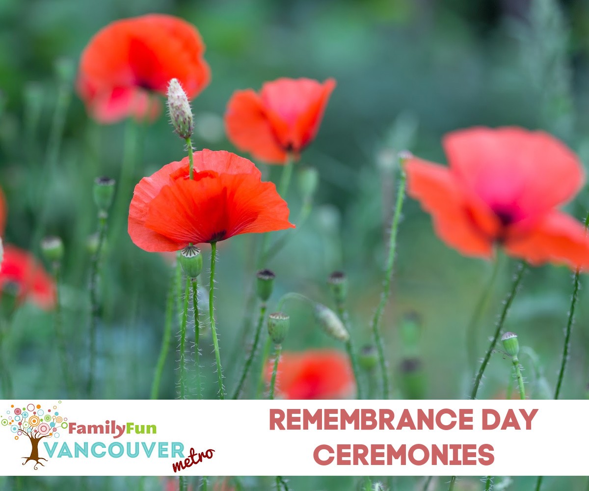 Remembrance Day