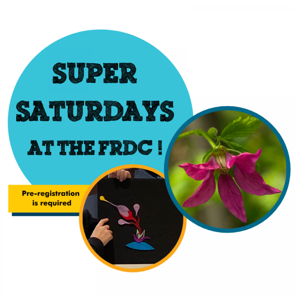 Super Saturdays at the Fraser River Discovery Centre