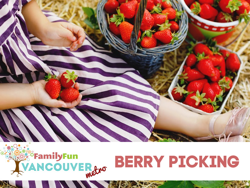 Berry Picking in Metro Vancouver