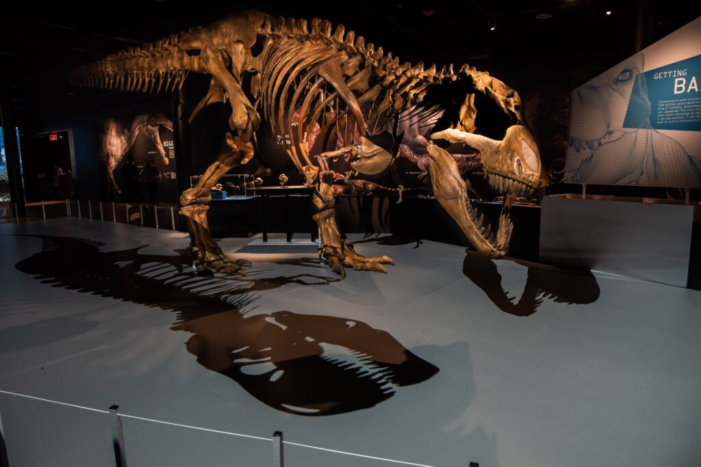 Science World: T.Rex The Ultimate Predator