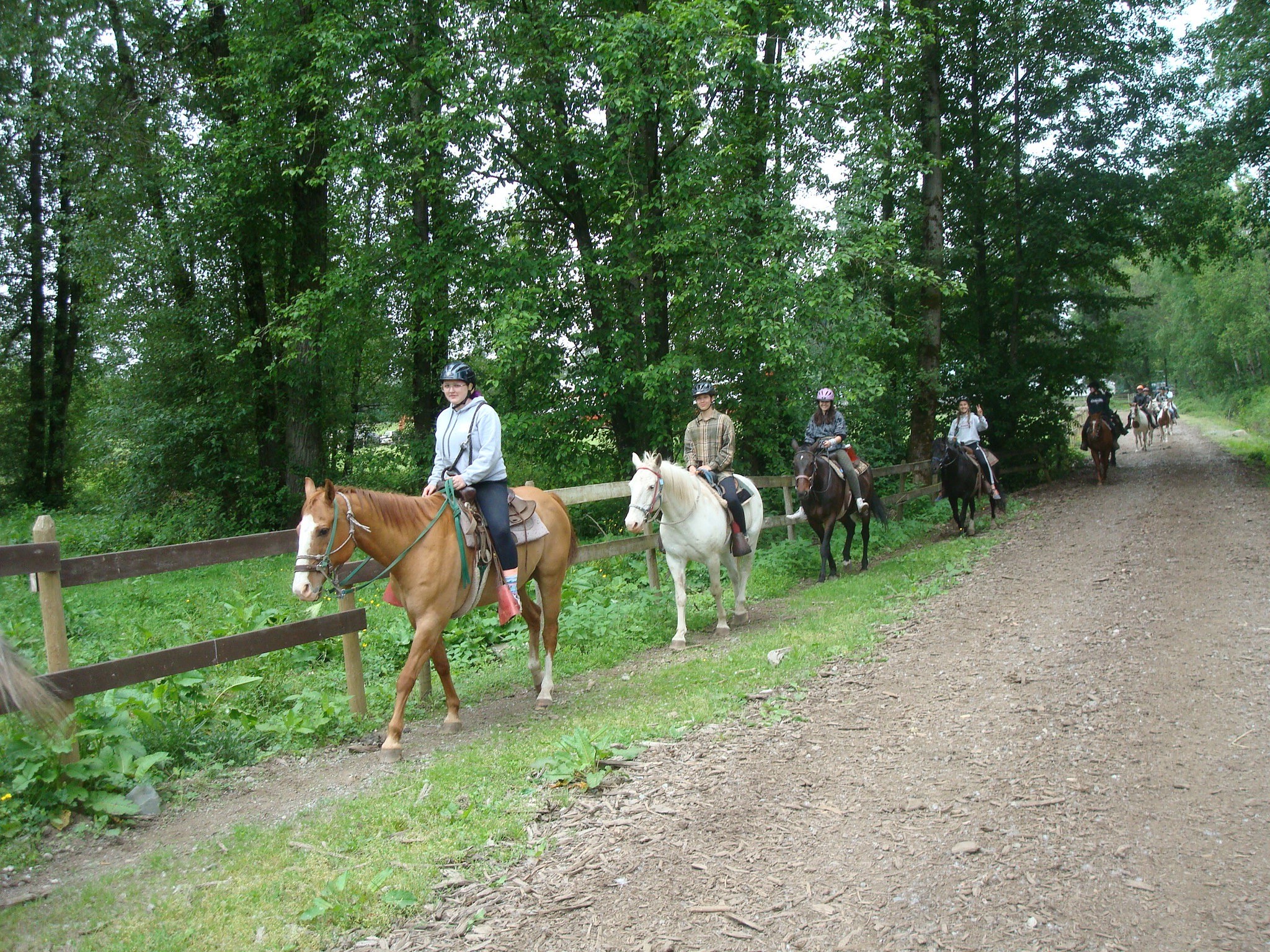 Webb's Holiday Acres Summer Horse Camp