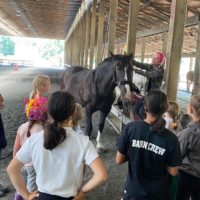 Unicorn Stables Summer Camps
