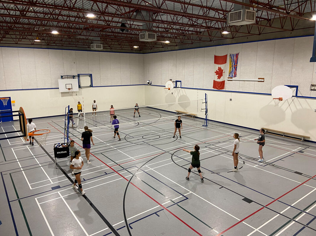 Velocity Volleyball Club Summer Camps (Family Fun Vancouver)