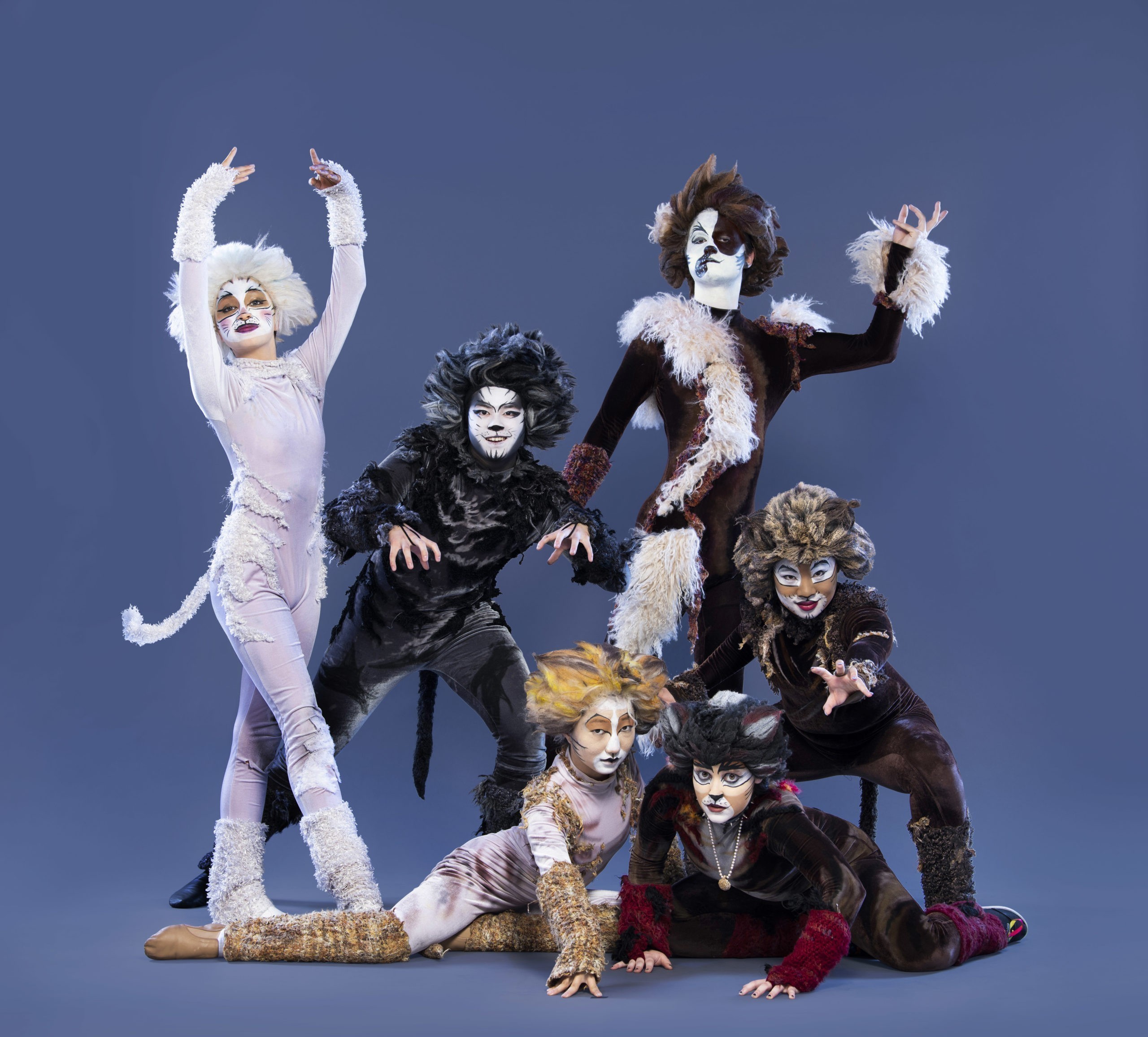 CATS: Edición de Actores Jóvenes