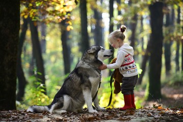 犬類圖書館