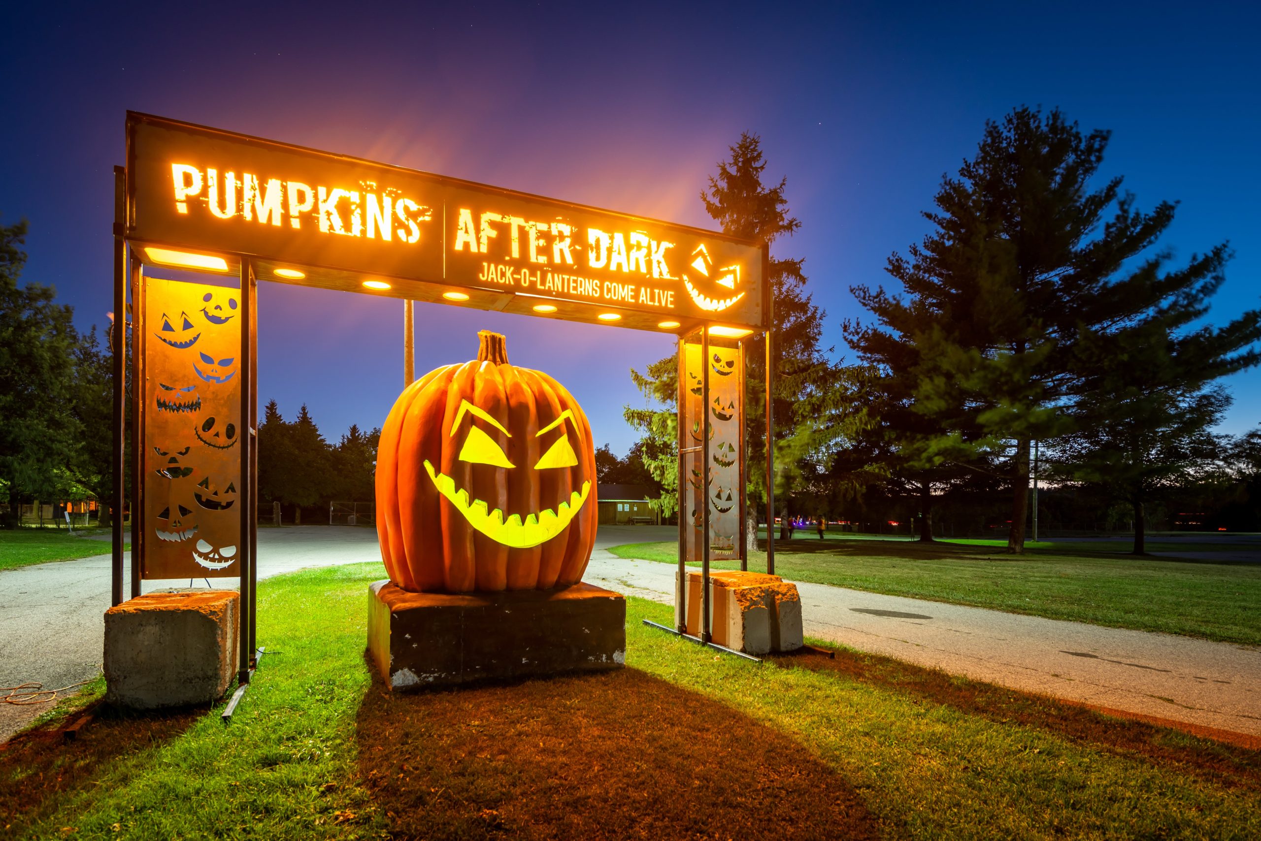 Citrouilles après la tombée de la nuit – Image vedette