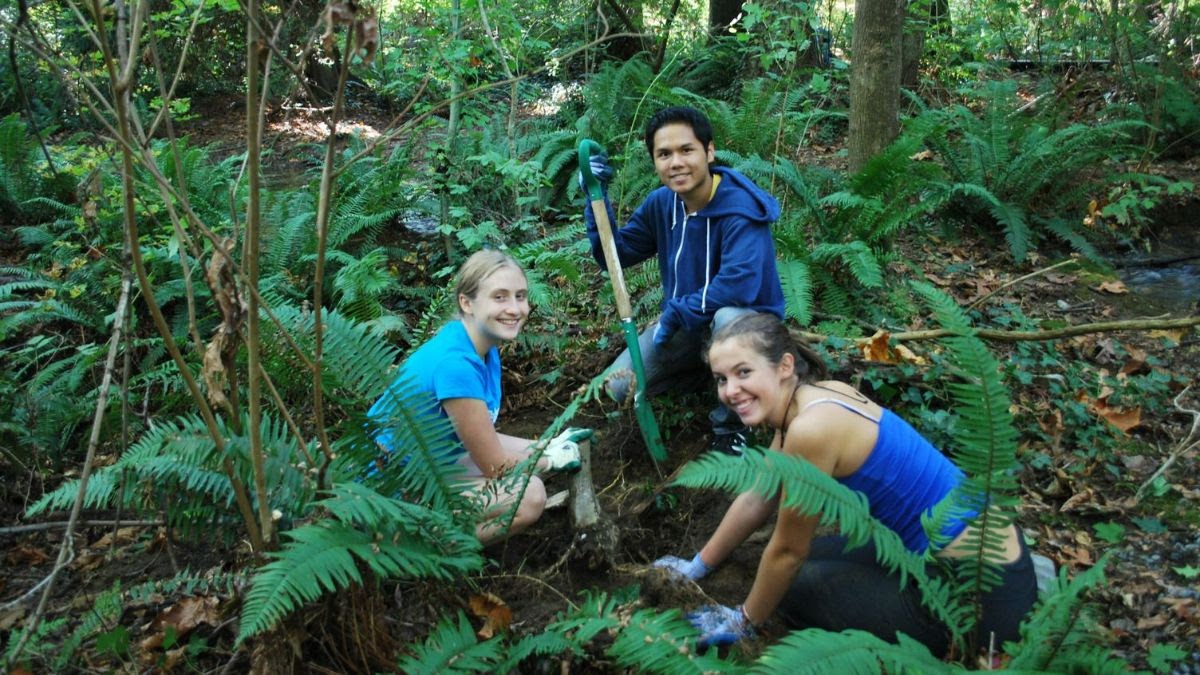 Tree Planting for World Rivers Day