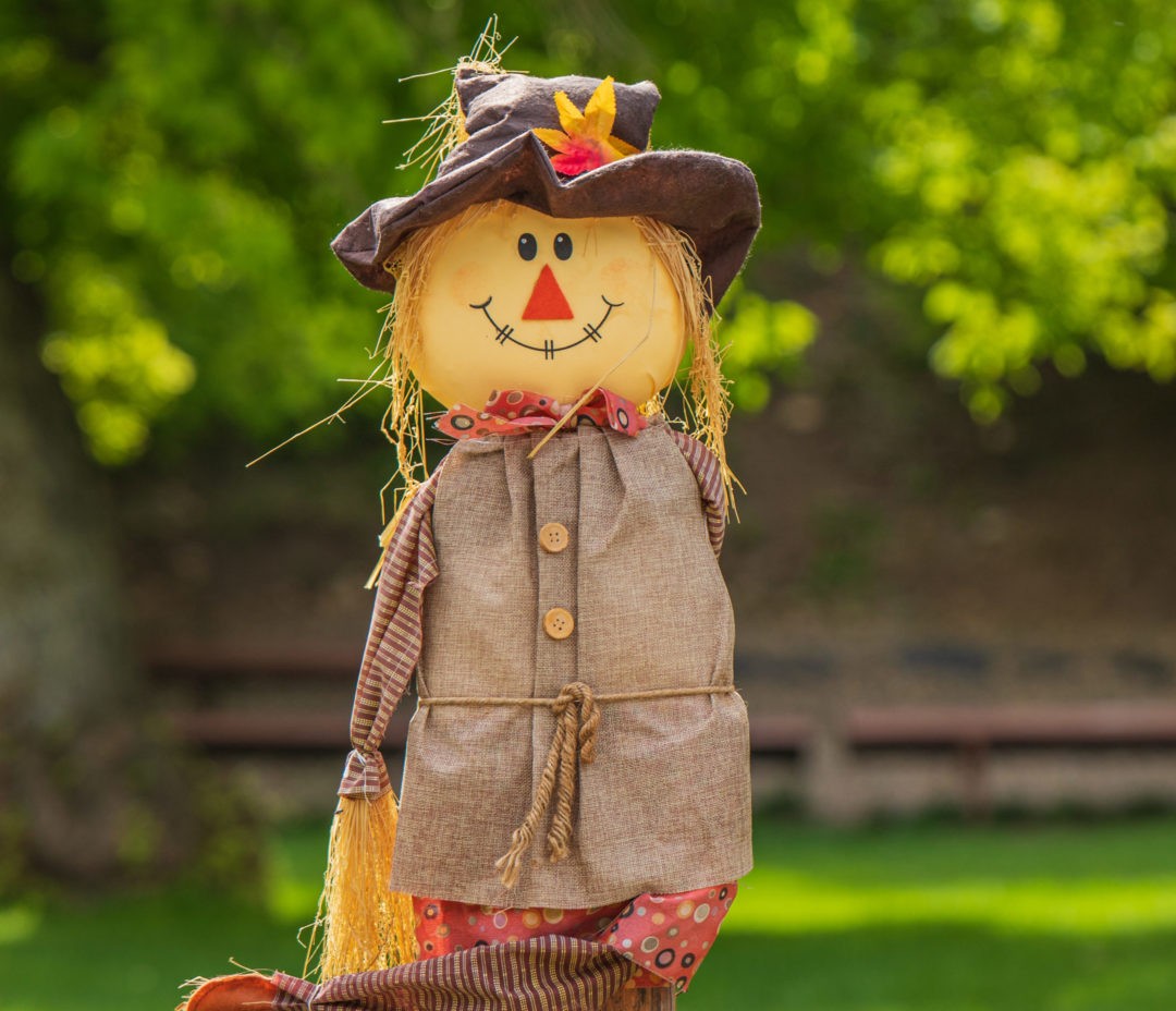 Scarecrow Showcase
