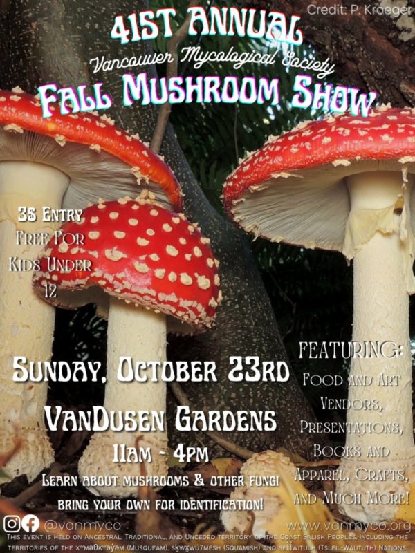 Fall Mushroom Show