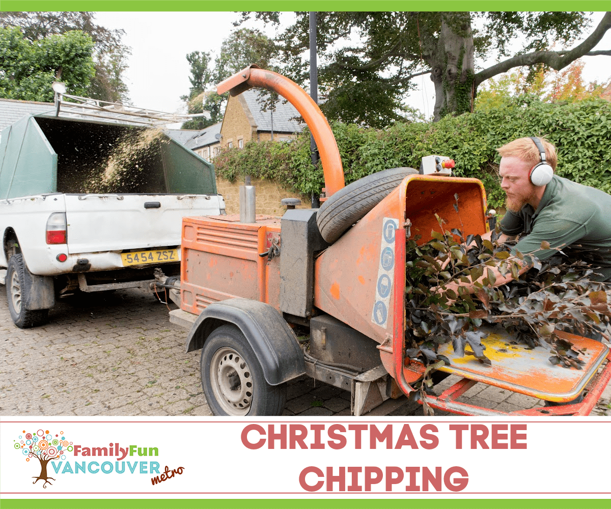 Christmas Tree Chipping 1200x1000