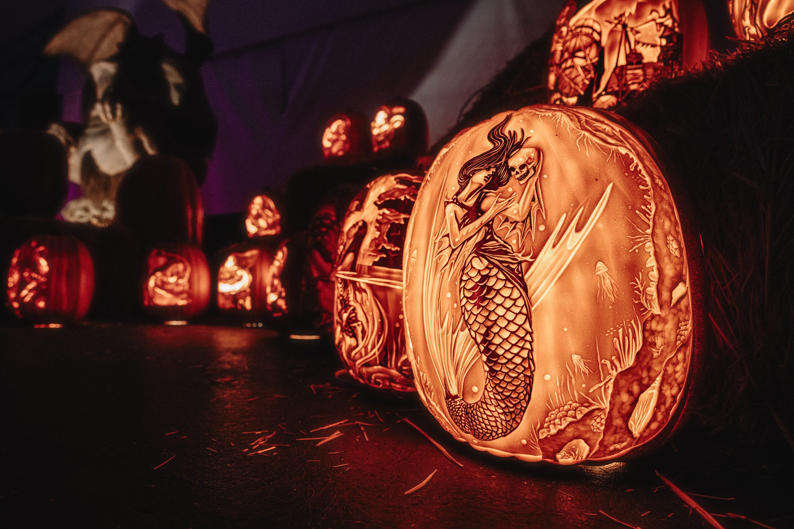 Pumpkins After Dark 2024