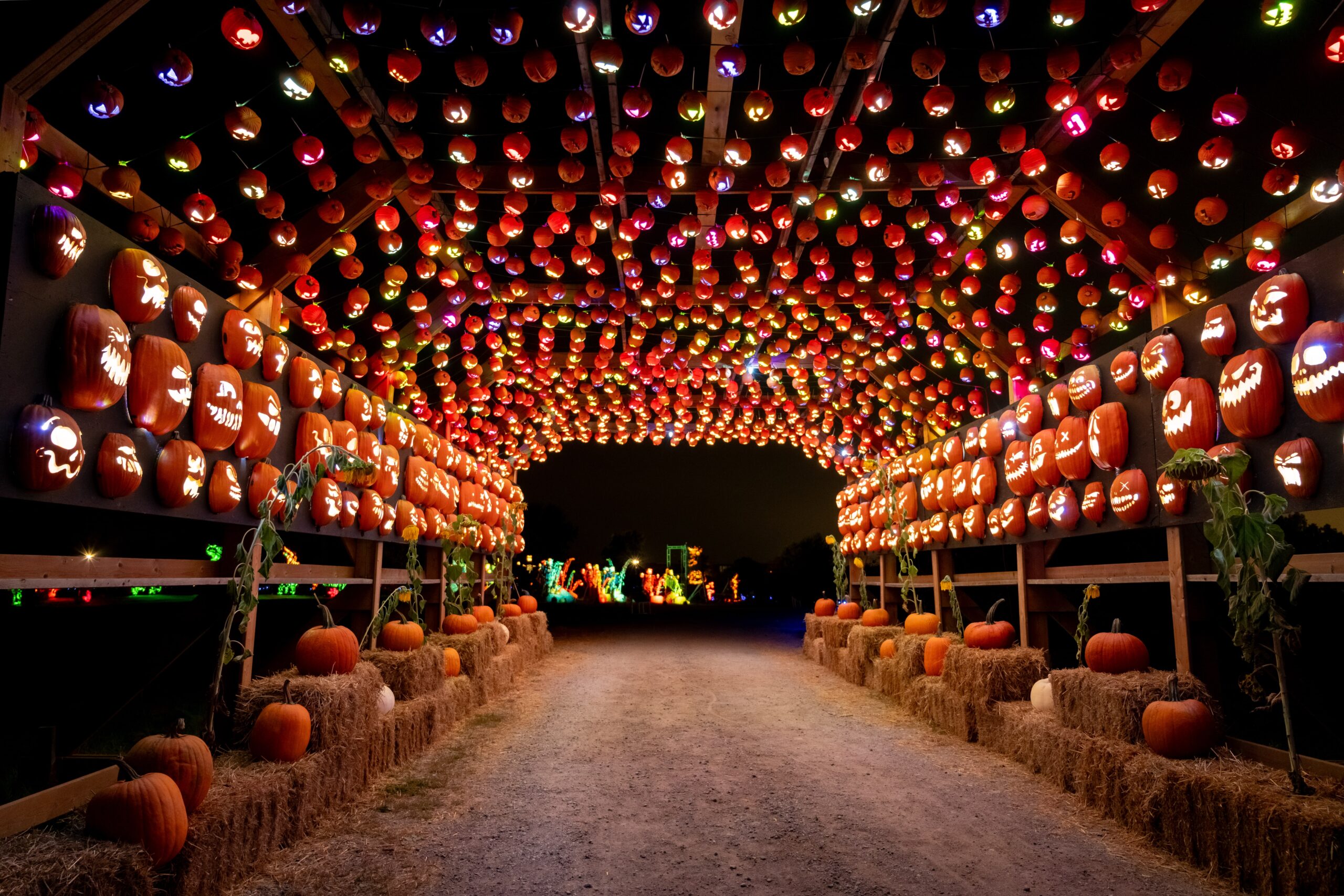 Pumpkins After Dark 2024