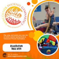 Vancouver Phoenix Gymnastics Spring Lessons 1080x1080